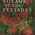 Voyage of the Pleiades by Amy Marie Turner
