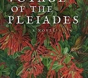 Voyage of the Pleiades by Amy Marie Turner
