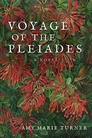Voyage of the Pleiades by Amy Marie Turner