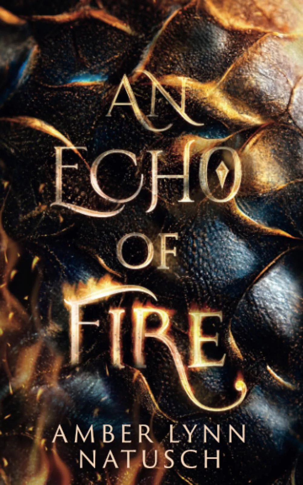 An Echo of Fire Book Cover