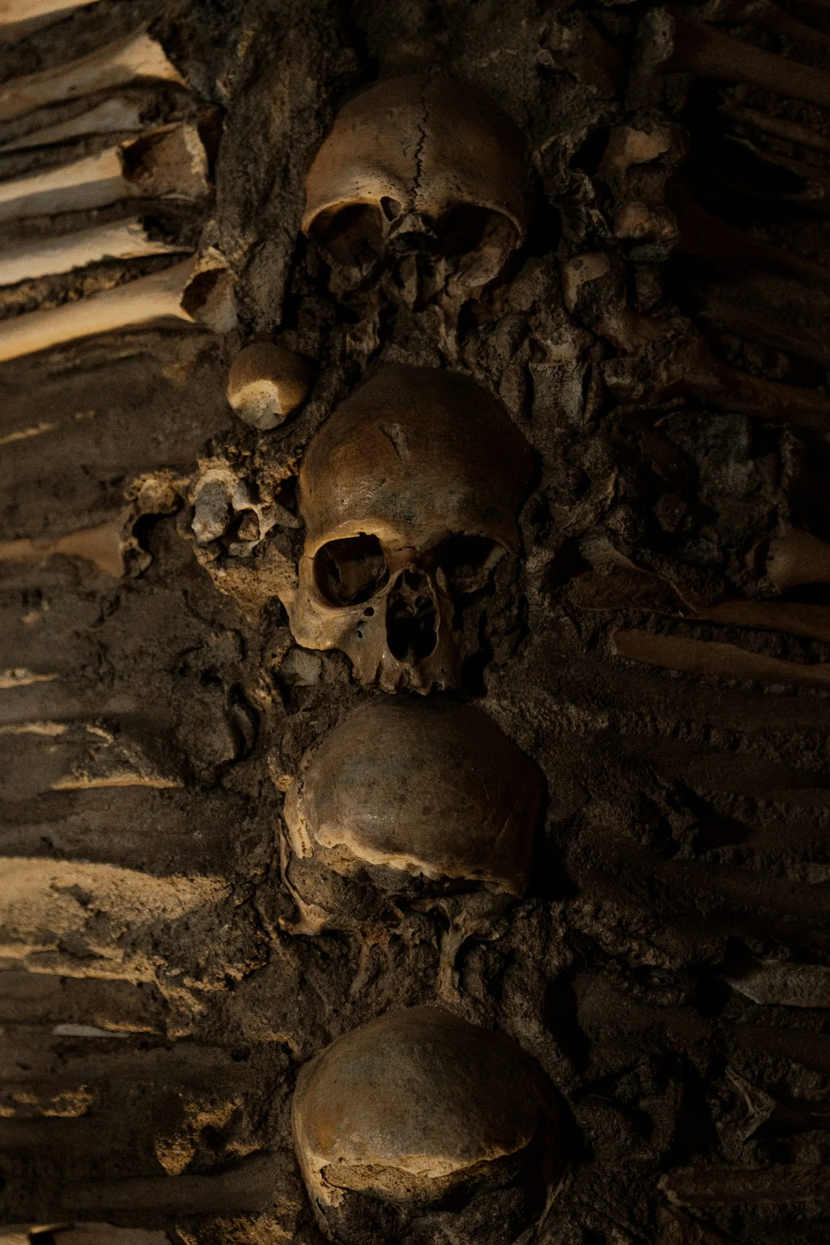 Skulls and bones