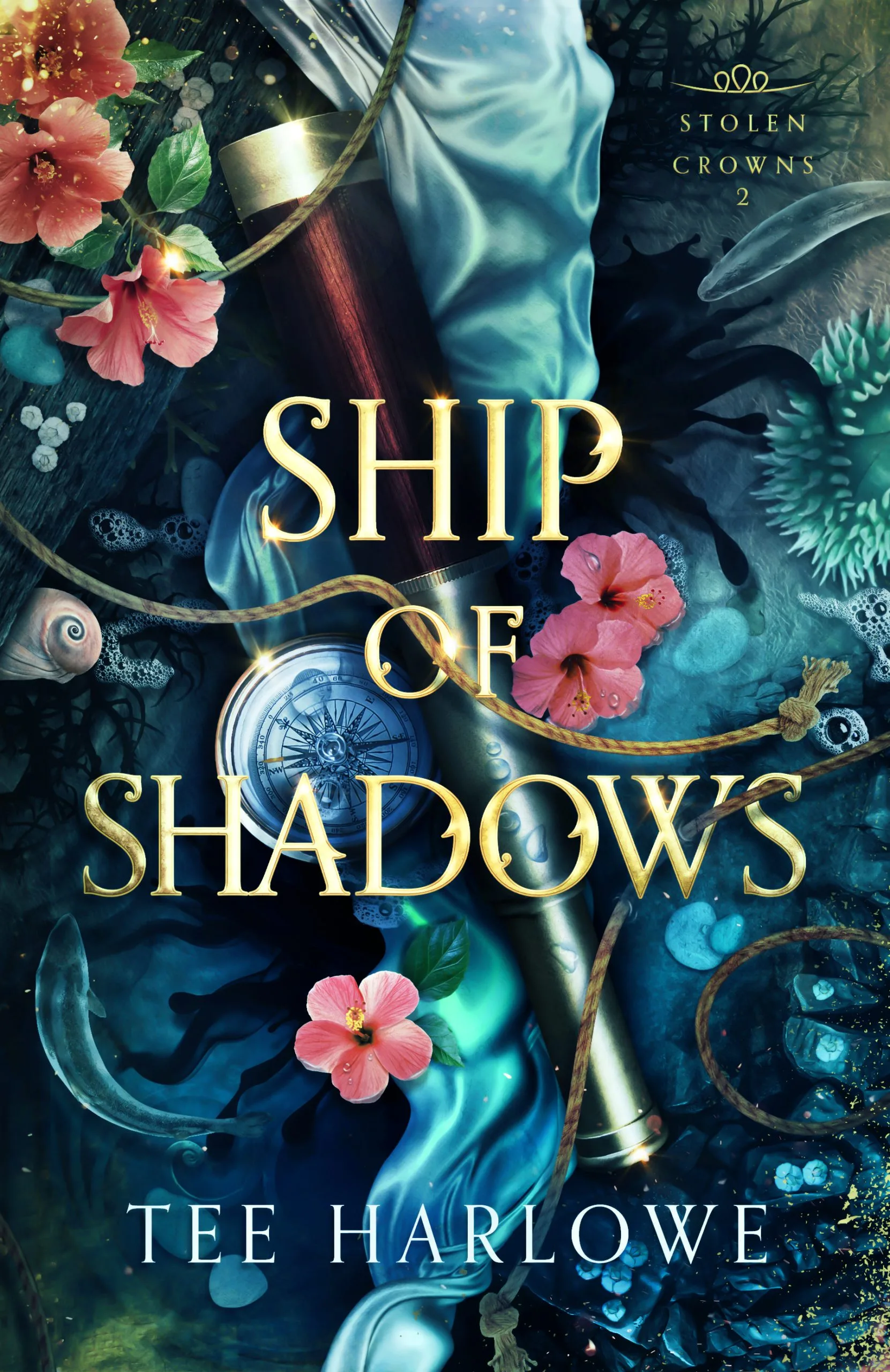 Ship of Shadows Book Cover