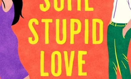 Just Some Stupid Love Story: A Novel by Katelyn Doyle