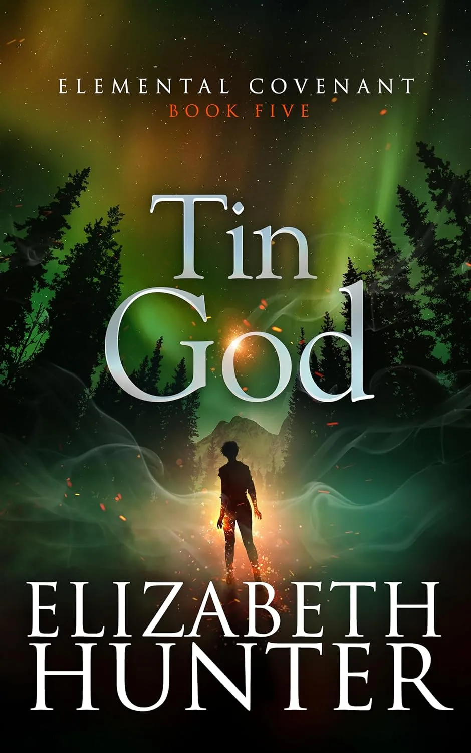 Tin God Book Cover