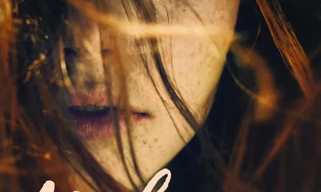 TBR Tues – Making Faces Audiobook by Amy Harmon, narrated by Rob Shappiro