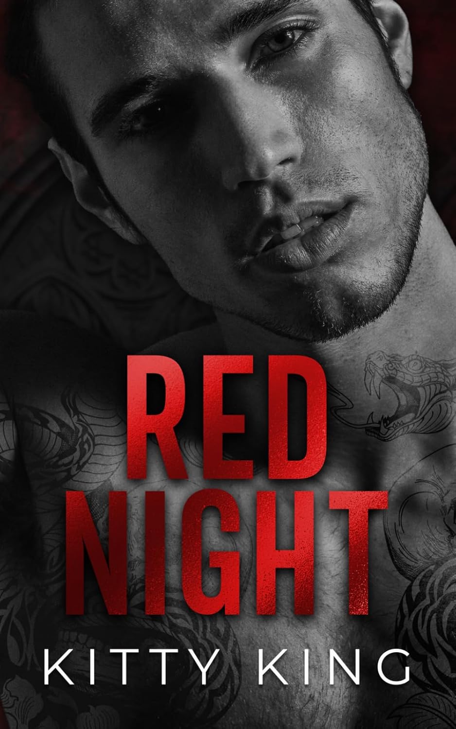 Red Night Book Cover
