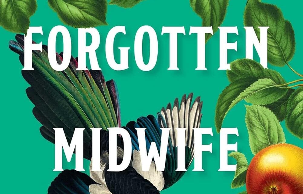 The Forgotten Midwife by Laura Anthony